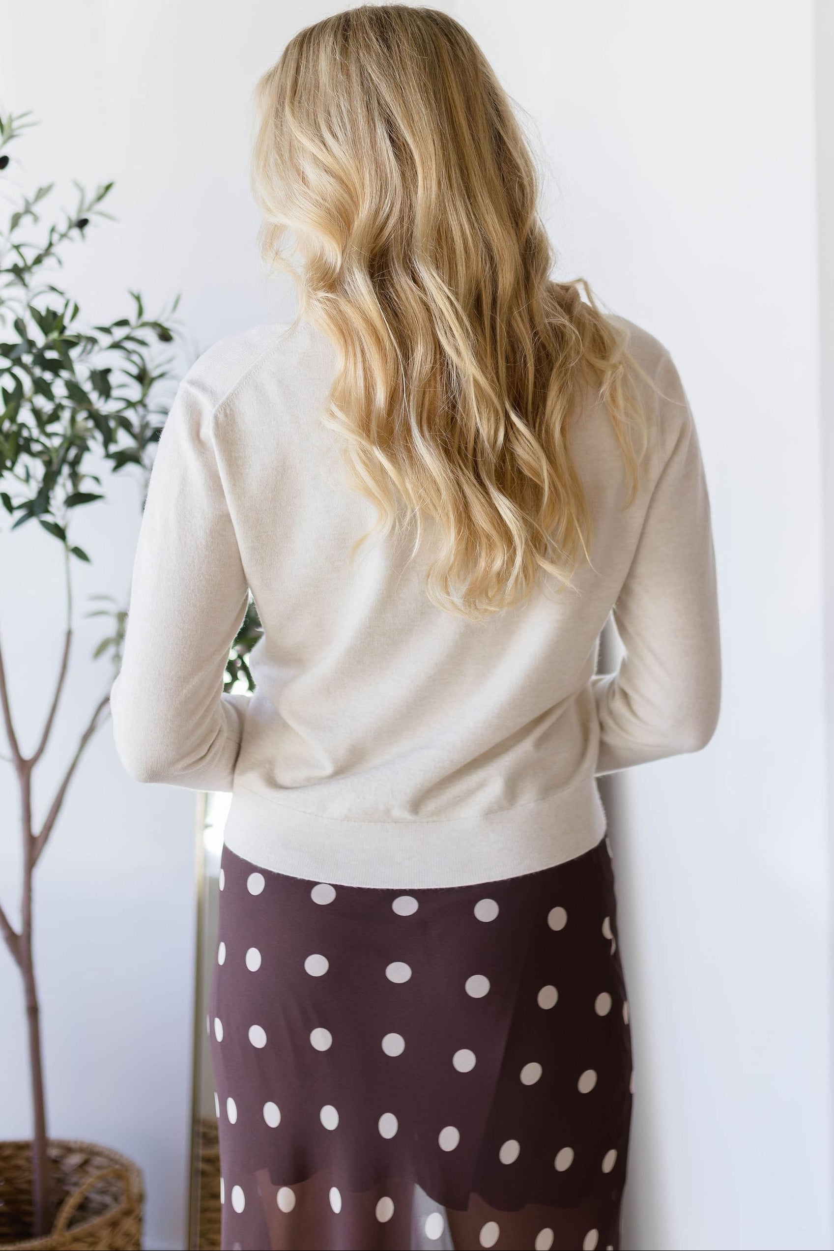 Carina V-Neck Pullover