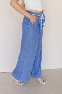 Francie Pleated Wide Leg Jean Francie Pleated Wide Leg Jean